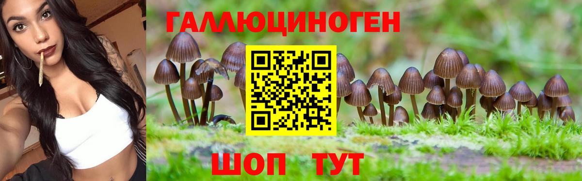 Каменка  Галлюциногенные грибы MAGIC MUSHROOMS  Вход с VPN 